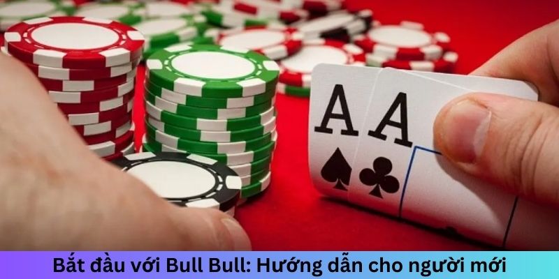 Bắt đầu với niu niu: Hướng dẫn cho người mới